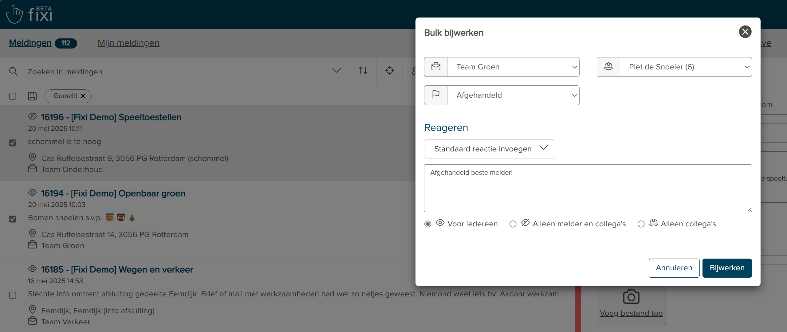 bulk_bijwerken_pop_up_ingevuld.png